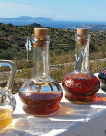 Opcija Tours – DMC Croatia